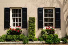 Comparing Vinyl Windows with Wood Windows Which is Better for Your Home