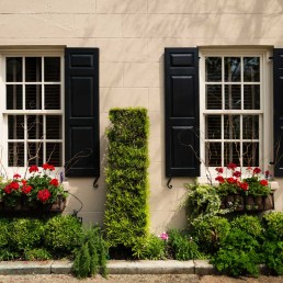 Comparing Vinyl Windows with Wood Windows Which is Better for Your Home